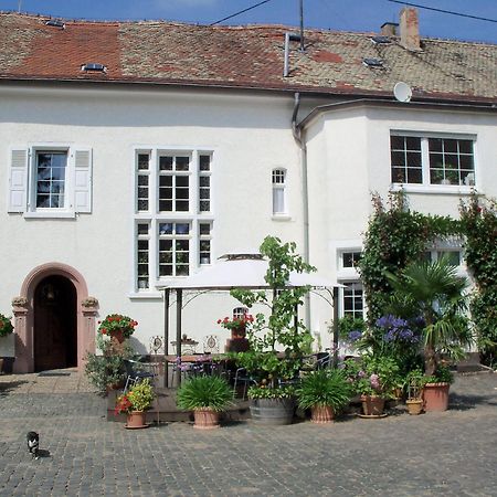 Bio-Weingut, Gaestehaus Und Kraeuterhof Flomborn Екстер'єр фото