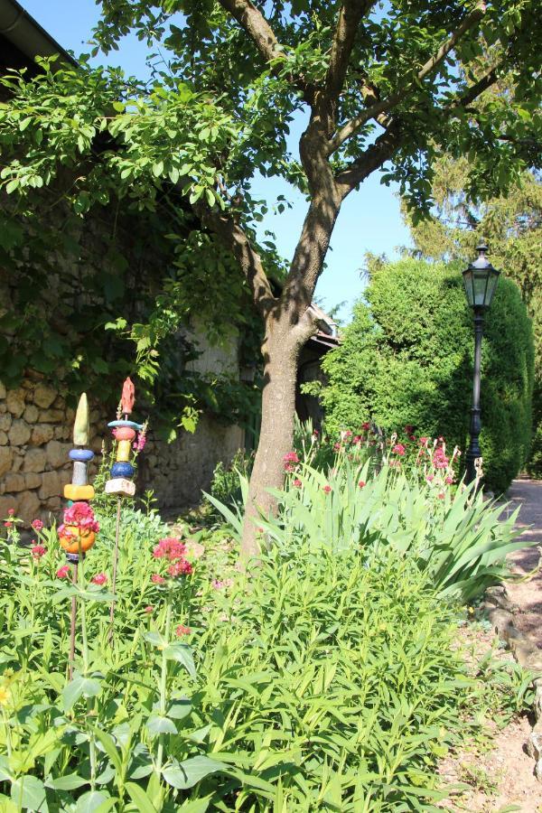 Bio-Weingut, Gaestehaus Und Kraeuterhof Flomborn Екстер'єр фото