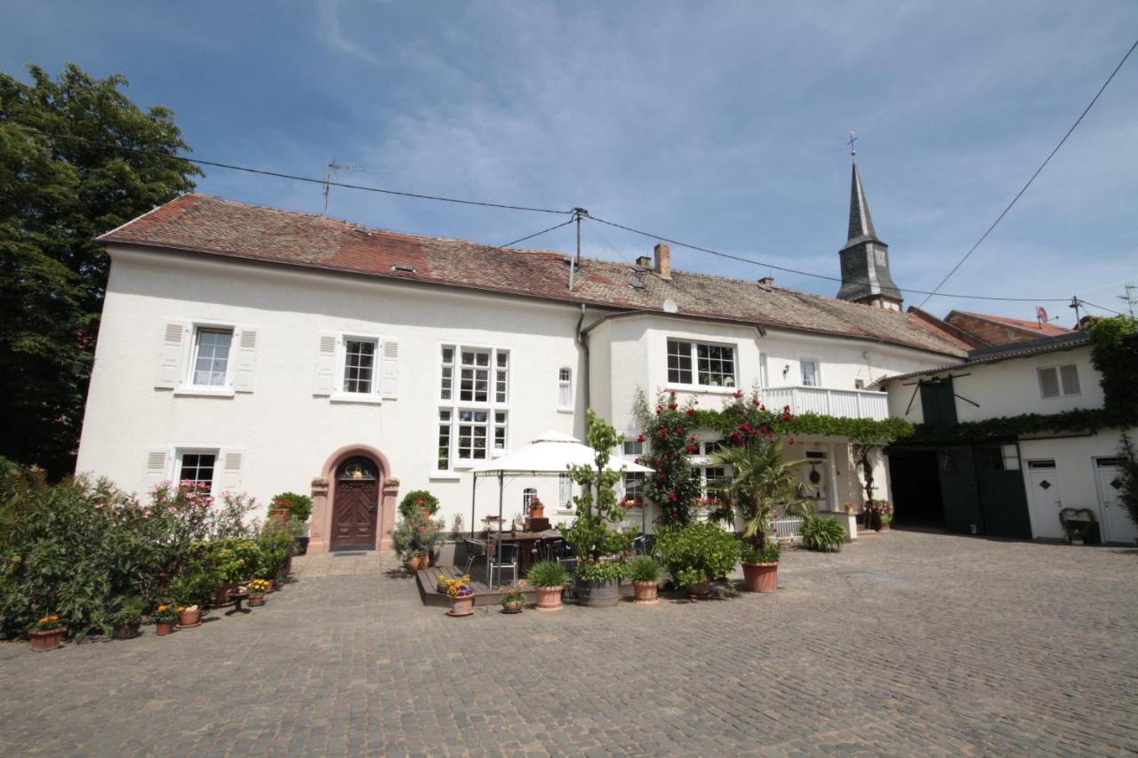 Bio-Weingut, Gaestehaus Und Kraeuterhof Flomborn Екстер'єр фото