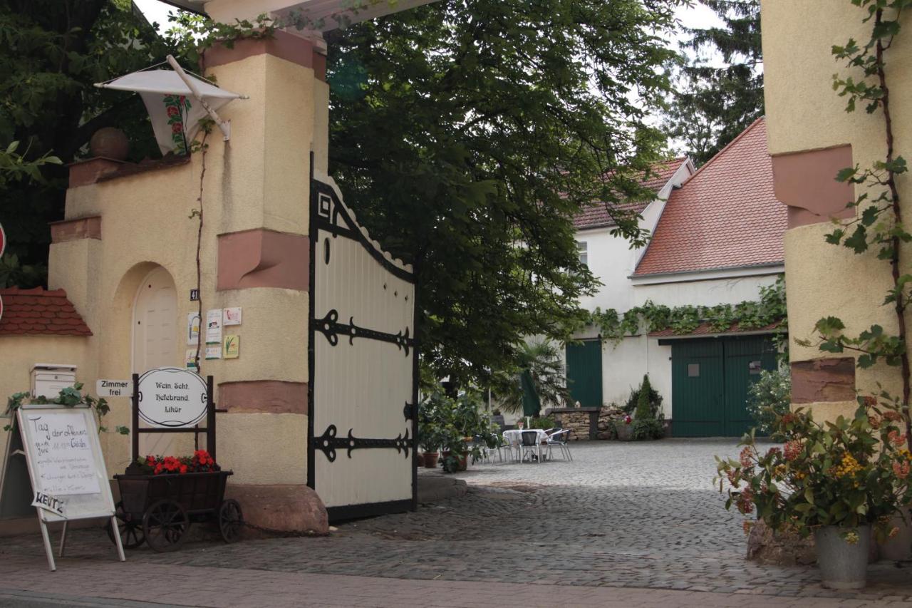 Bio-Weingut, Gaestehaus Und Kraeuterhof Flomborn Екстер'єр фото