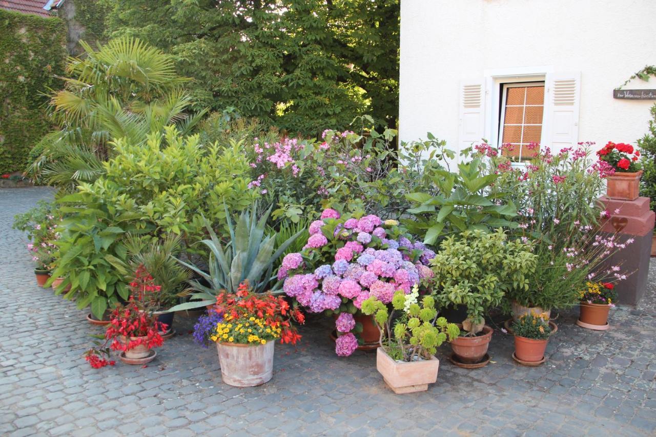 Bio-Weingut, Gaestehaus Und Kraeuterhof Flomborn Екстер'єр фото