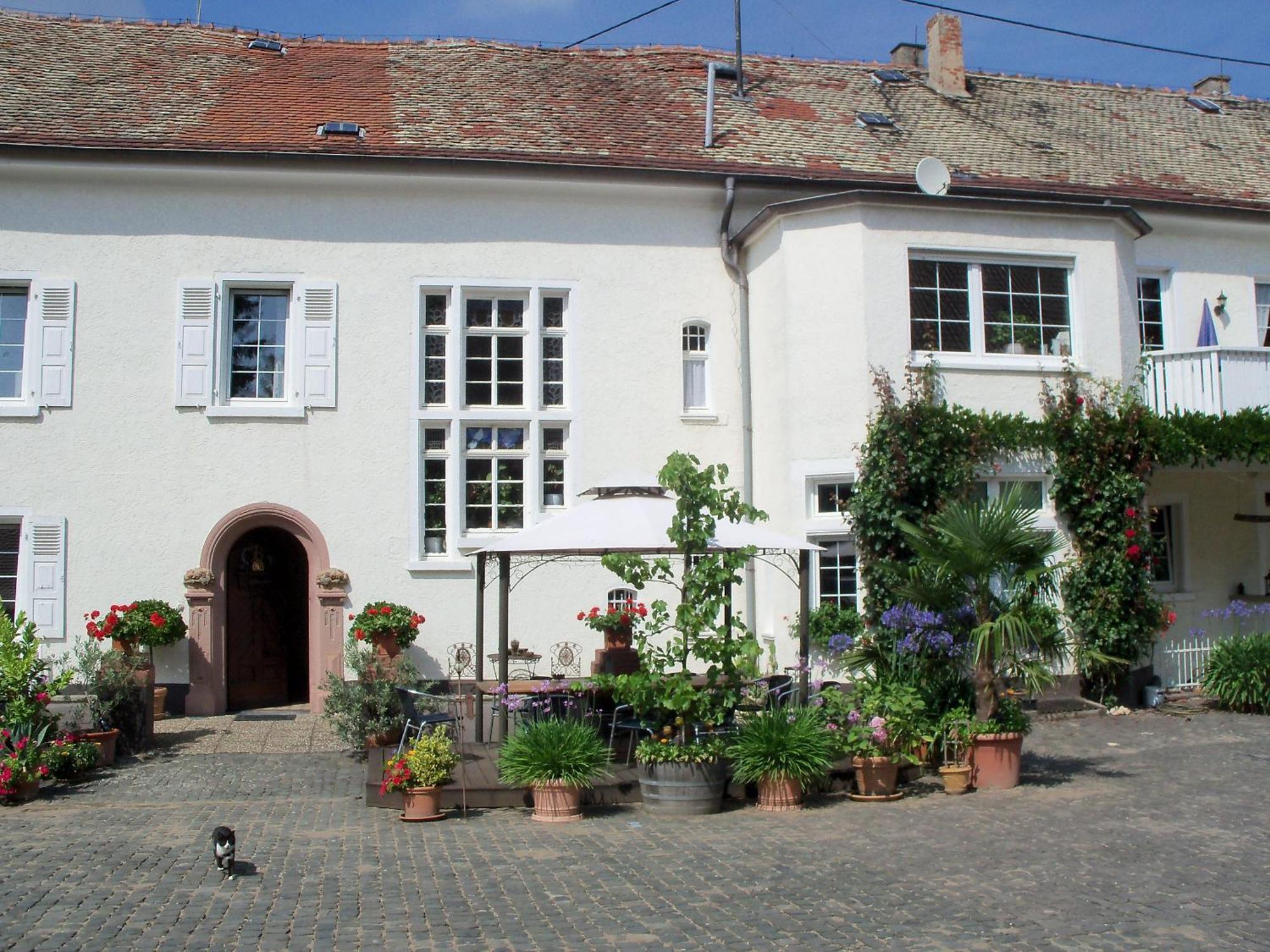 Bio-Weingut, Gaestehaus Und Kraeuterhof Flomborn Екстер'єр фото