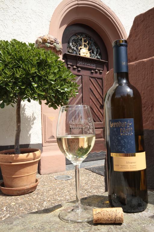 Bio-Weingut, Gaestehaus Und Kraeuterhof Flomborn Екстер'єр фото